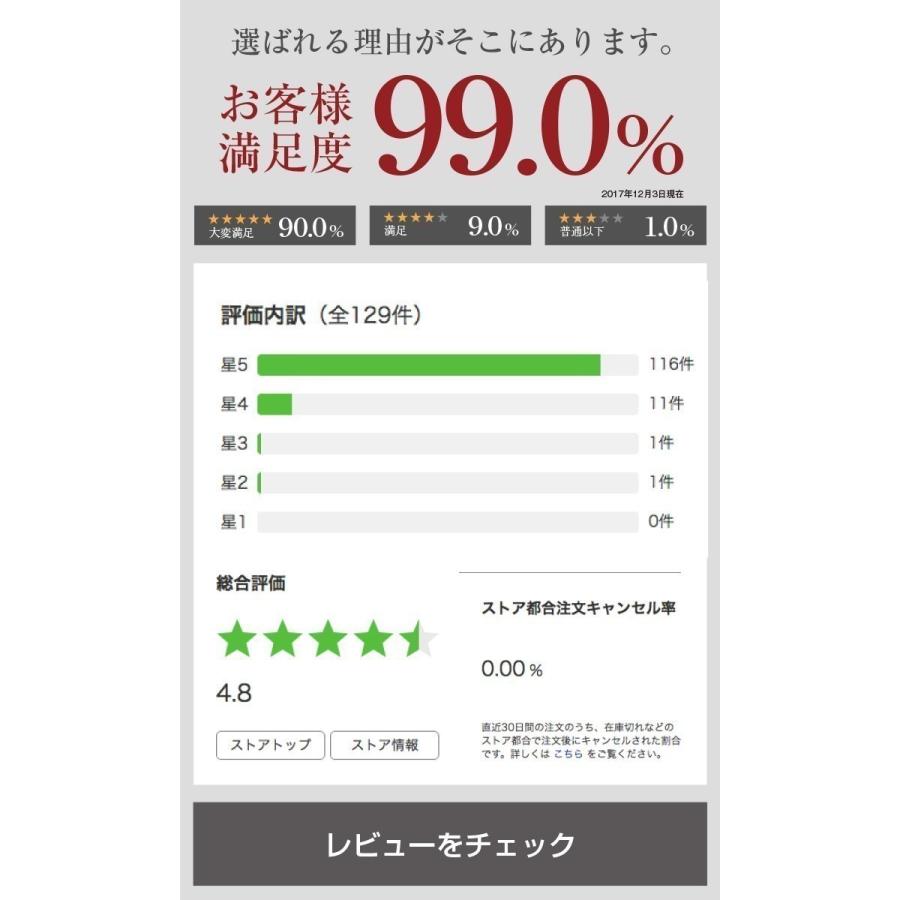 表札 ステンレス 戸建 おしゃれ  アイアン （sus切り文字表札 sus9 クレイドル 縦120mm横300mm）ゆりかご  アイアン風 アルファベット サイズ変更可 個性的｜touban-art｜16