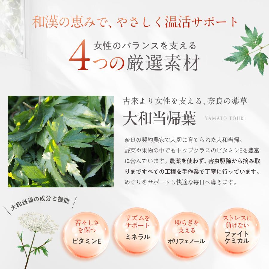 大和当帰サプリメント 60カプセル 奈良県産 当帰葉 無農薬 ツバキ種子 マカ ヘム鉄 温活 和漢 無添加 冷え 活力 巡り ゆらぎ 高品質 ヤマトトウキ やまととうき | WELL8 | 02