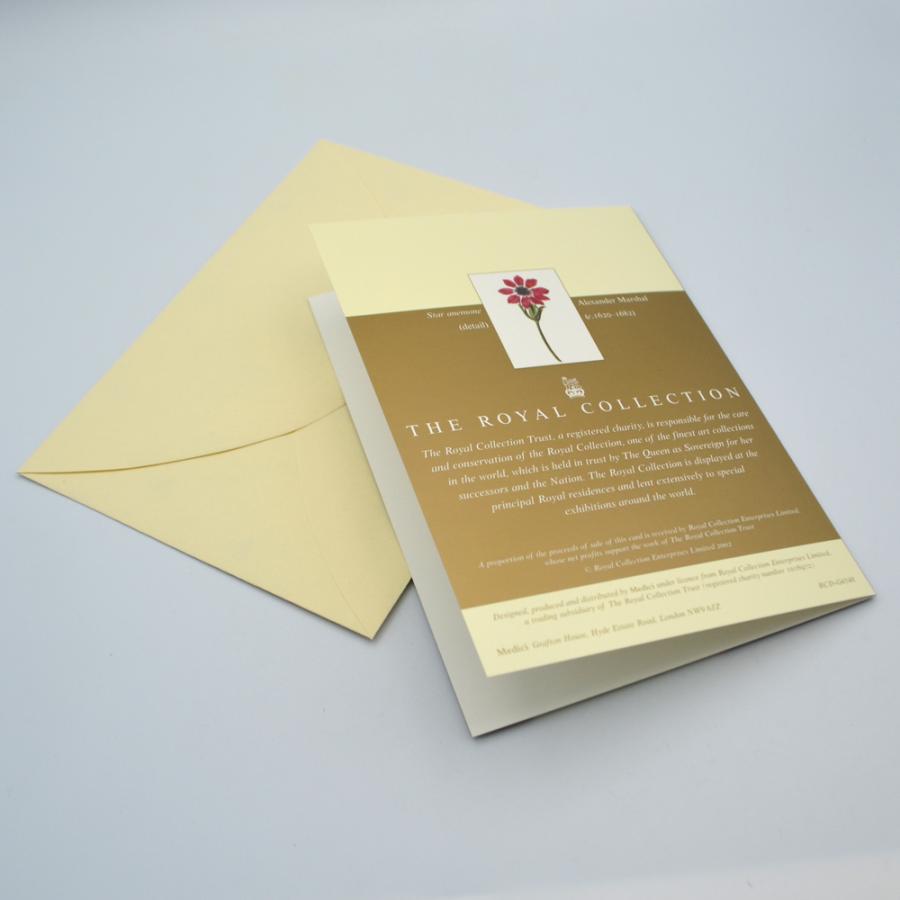 英国製 グリーティングカード ザ・ロイヤルコレクション Field Daisies 封筒つき｜touche｜04