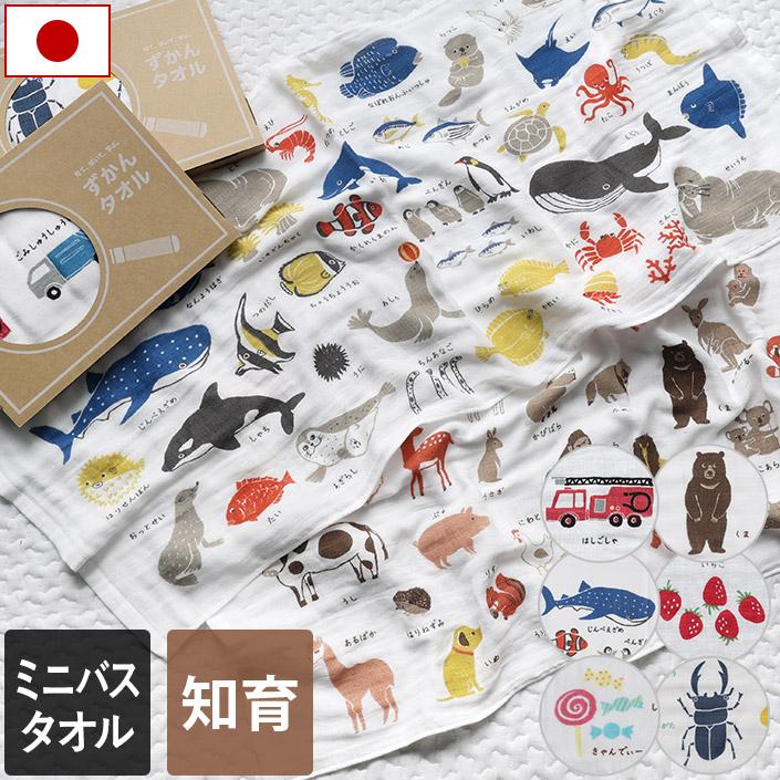 カーム ガーゼタオル ミニバスタオル ずかんタオル 日本製 : タオル