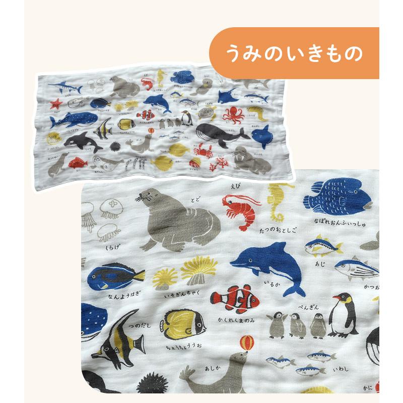 カーム ガーゼタオル ミニバスタオル ずかんタオル 日本製 : タオル