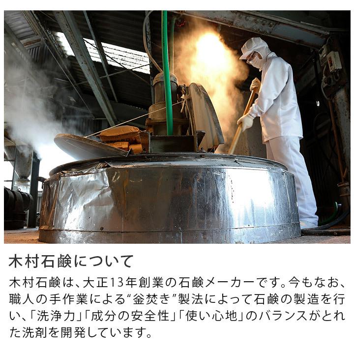 自動製氷機の洗浄剤 Cシリーズ 木村石鹸 日本製 | ブランド登録なし | 05