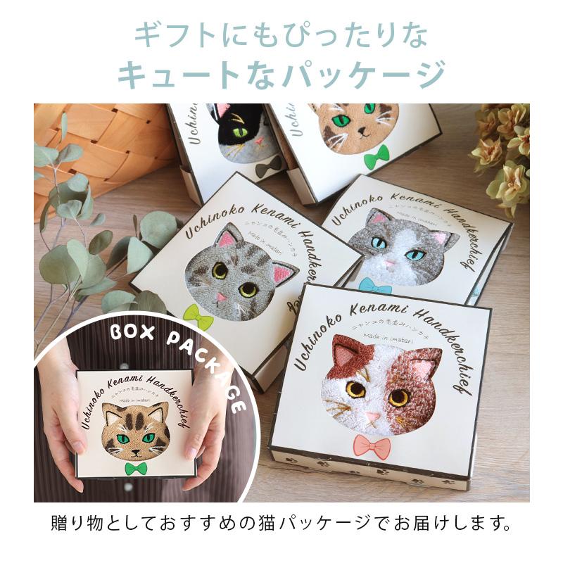 今治タオル（imabari towel） ハンカチタオル うちのニャンコ 毛並み