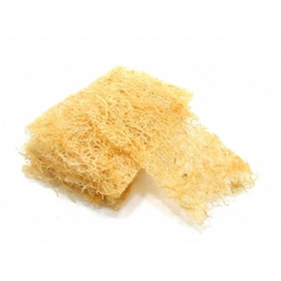 陶芸用品 / ふのり 100g : t0806003 : 陶芸ショップ.コム Yahoo!店 