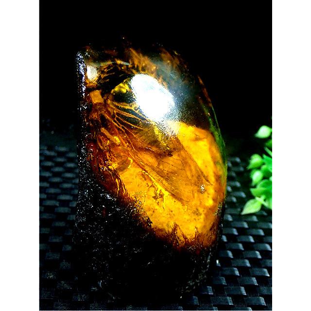 工芸品☆高級（アンバー)琥珀(セミ入り)原石168R3-48R20D : 水晶開運堂
