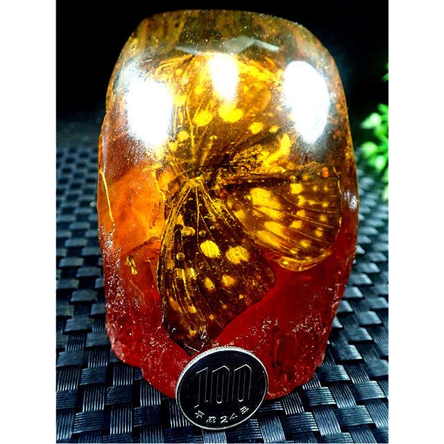 工芸品☆高級（アンバー)琥珀(蝶入り)原石168R3-48R24D : 水晶