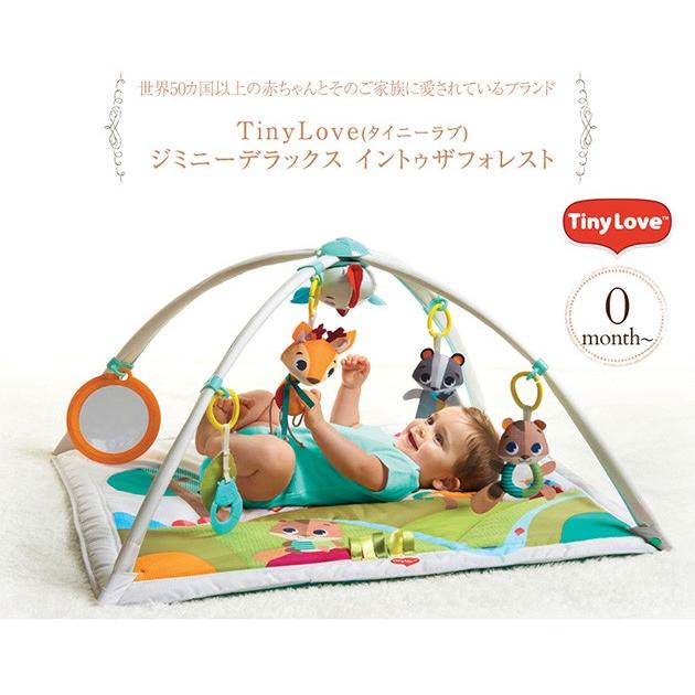 伝統 プレーヤー 従順 ベビー プレイジム Reproda Jp