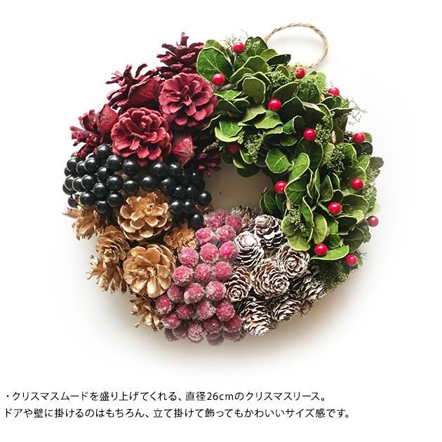クリスマス リース ナチュラル 飾り Maison Blanche メゾンブランシュ クリスマスリース L Mka 4735 オシャレな収納 こどもと暮らし 通販 Yahoo ショッピング