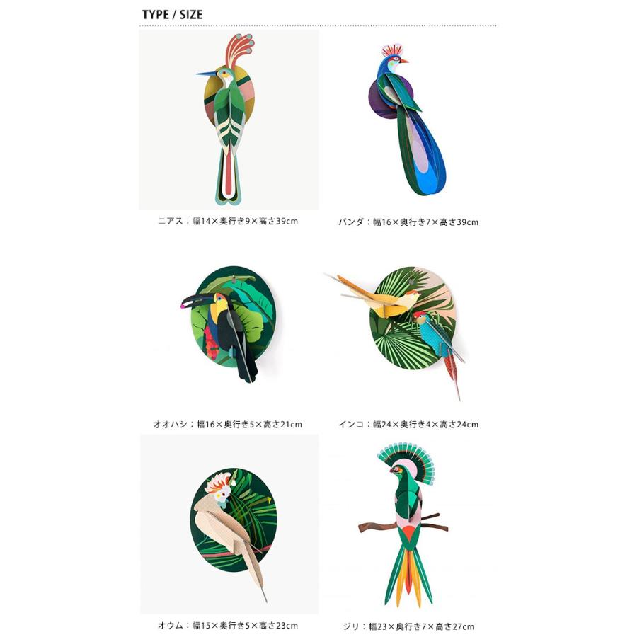 ペーパークラフト キット 子供 バード Studio Roof スタジオルーフ 壁掛けペーパークラフト 鳥 袋ラッピング対応 Mka 4971 オシャレな収納 こどもと暮らし 通販 Yahoo ショッピング