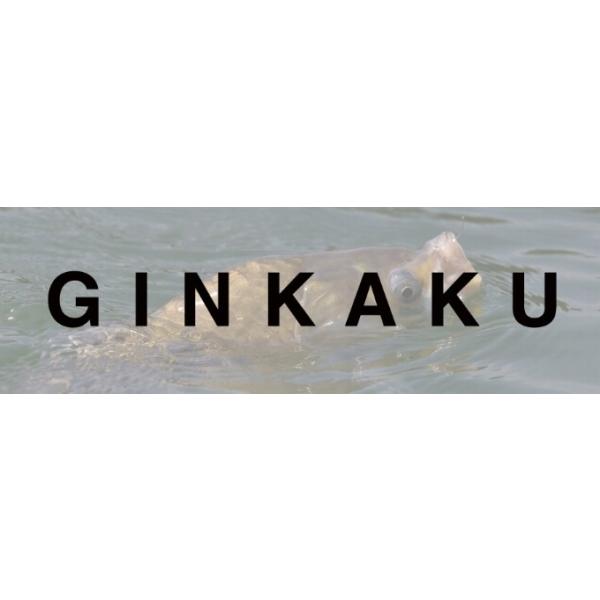 GINKAKU　足パーツ グローブライド｜toukaiturigu｜04