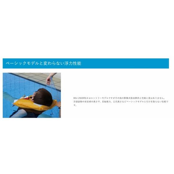 Blue storm BSJ-2920RS II 赤　自動膨張式ライフジャケット 楽天市場】ブルーストーム BSJ-2920RS II 膨脹式ライフ