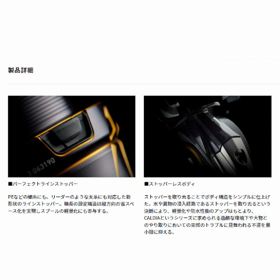 21カルディア FC LT2500S ダイワ GW限定セール : 東海つり具Y 21カルディア FC LT2500S ダイワ GW限定セール : 東海つり具Y