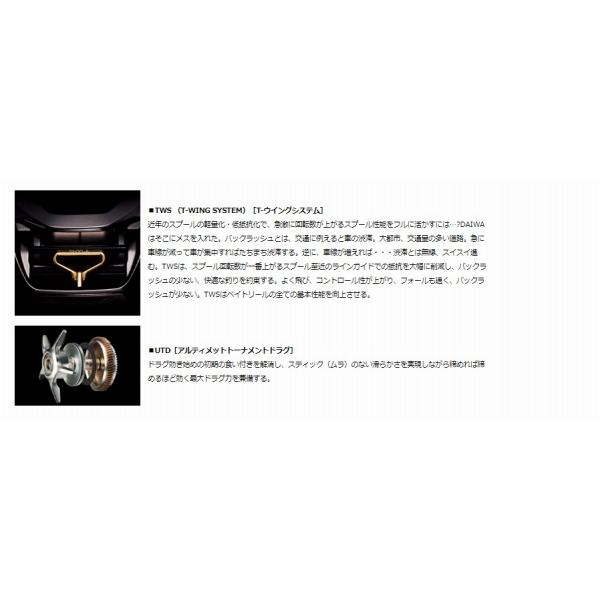 21アルファス SV TW 800HL ダイワ 限定 :4550133072604:東海つり具Y支店 通販 AJ@様専用 ダイワ 21アルファスSV TW 800HL