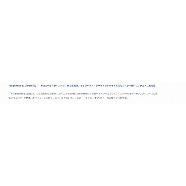 TATULA TW 400XHL ダイワ_3