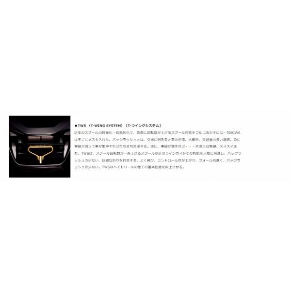 TATULA TW 400XHL ダイワ_6