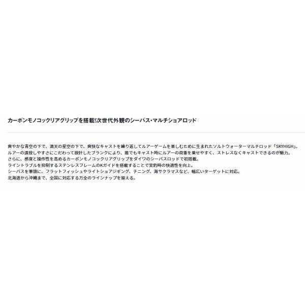SKYHIGH 100ＭL ダイワ 春の大感謝祭の画像