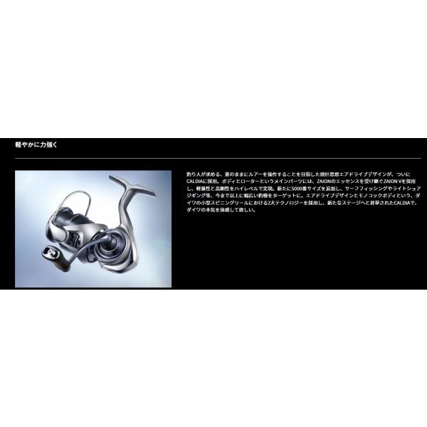25CALDIA LT5000-C ダイワ : 東海つり具Y支店 - 通販 - Yahoo!ショッピング