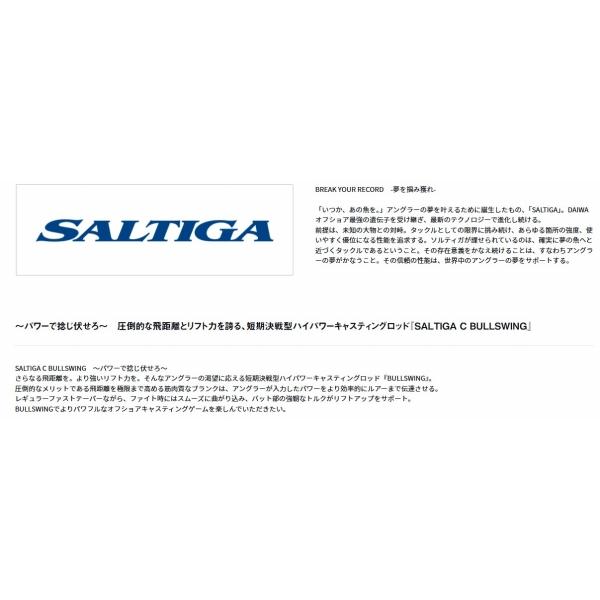 ＳＡＬＴＩＧＡ　Ｃ　ＢＵＬＬＳＷＩＮＧ　83−5 ダイワ_5