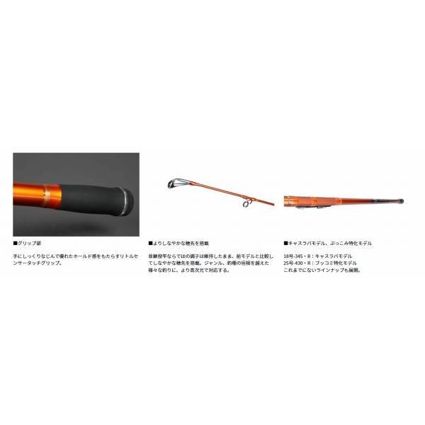 CAST'IZM 25−430 R ダイワ 秋の大感謝祭 : 東海つり具Y支店 - 通販