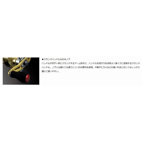 特価 100l 左 ミリオネア ダイワ Www Mathurahub Com
