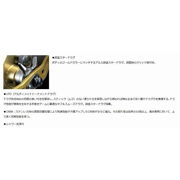 特価 100l 左 ミリオネア ダイワ Www Mathurahub Com