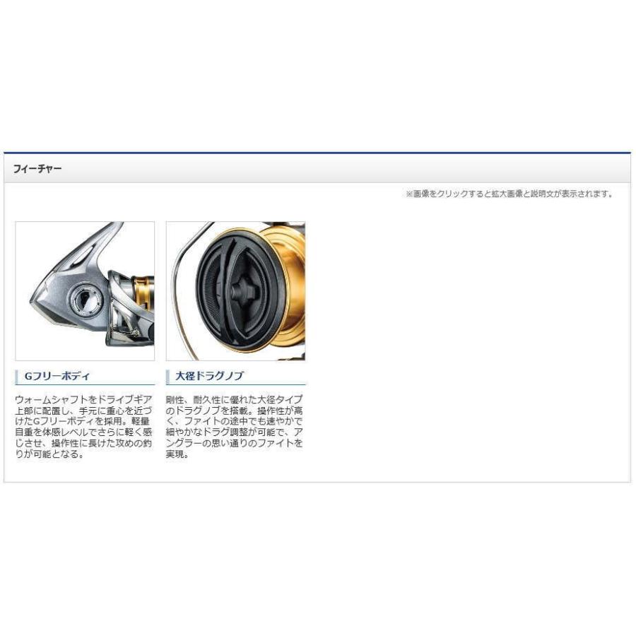 77 Off 17 セドナ 1000 シマノ Shimano Cisama Sc Gov Br