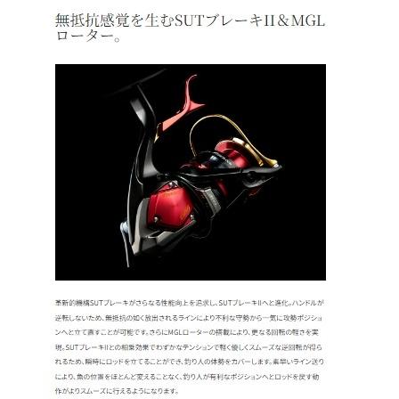 24 BB-X テクニウム ファイアブラッド C3000DXG SL シマノ : 東海