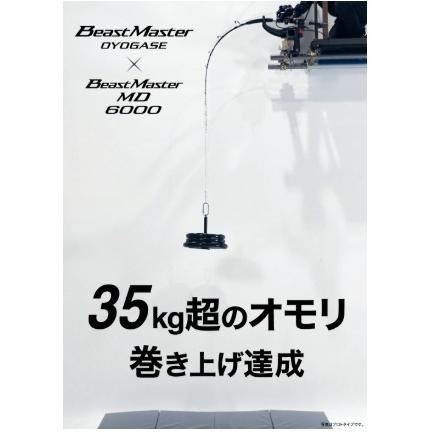 ビーストマスターBG 165 船竿 ロッドケース付き ビーストマスターBG
