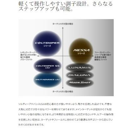 19ソルティーアドバンスライトショアジギングS96ML シマノ 秋の