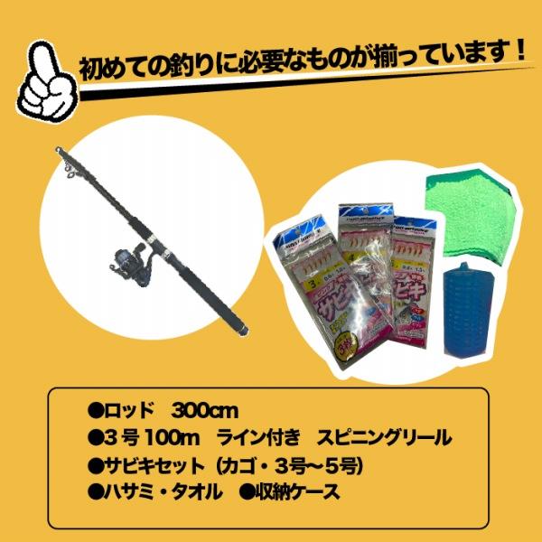 PG入門サビキセット300 東海オリジナル 夏の大感謝祭 : 東海つり具Y