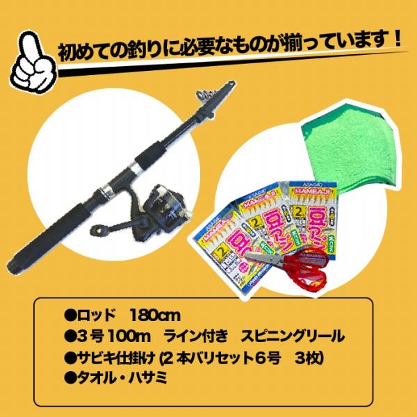PG入門ミニサビキ釣りセット180 東海オリジナル 夏の大感謝祭 : 東海