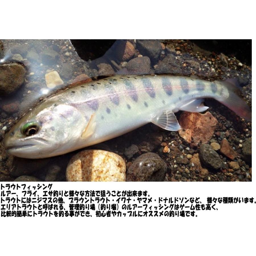 プロフィット トラウトゲームセット 60ul 浜田商会 Pro Marine 東海つり具y支店 通販 Yahoo ショッピング