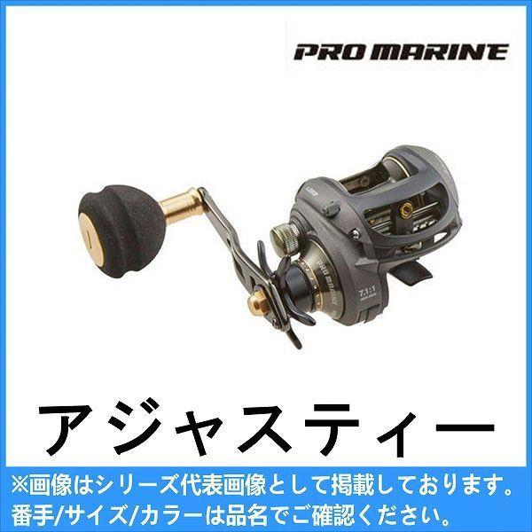 ａｊ0ｗ アジャスティー ｐｅ2号0ｍ糸ナシ 浜田商会 Pro Marine 東海つり具y支店 通販 Yahoo ショッピング