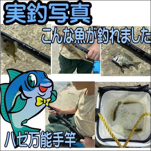 CB ハゼ 万能手竿450 東海オリジナル : 東海つり具Y支店 - 通販