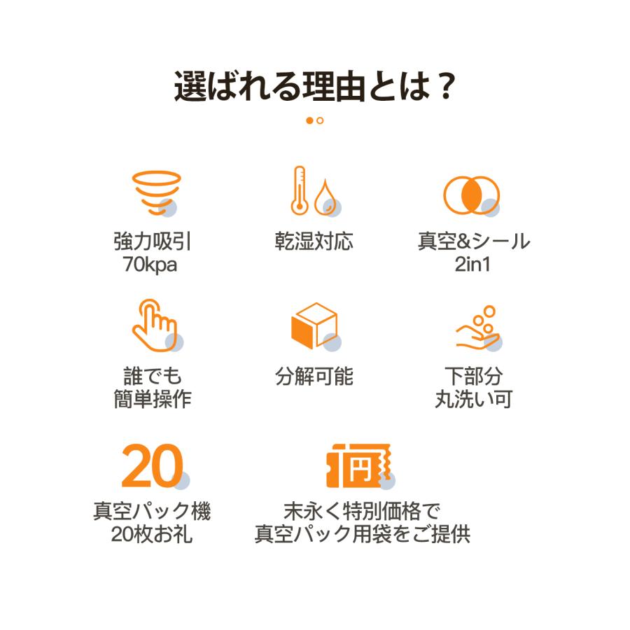 買収真空パック機 専用袋不要 ダブルポンプ 真空袋おまけ 乾湿対応