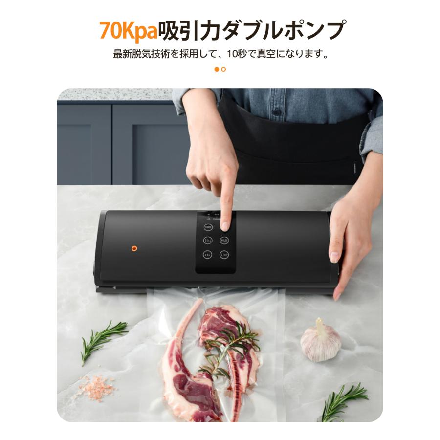 買収真空パック機 専用袋不要 ダブルポンプ 真空袋おまけ 乾湿対応