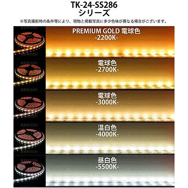 LEDテープライト シリコンチューブ TK-24-SS286-55K 昼白色(5500K) 60粒/m 単色 5m DC24V 屋外使用可能 ジャック付外径5.5mm×内径2.1mmの画像