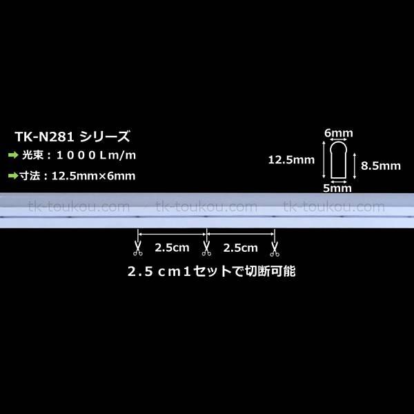 LEDネオンライト TK-N281-B 青色 IP67 単色 1m DC12V 屋外使用可能 ジャック付外径5.5mm×内径2.1mm｜toukou-store｜02