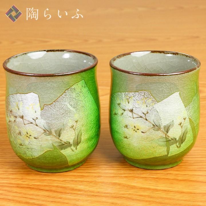 ビロウヤシ 現品】ビロウ椰子 ビロウヤシ 9号 M6番 楽天市場