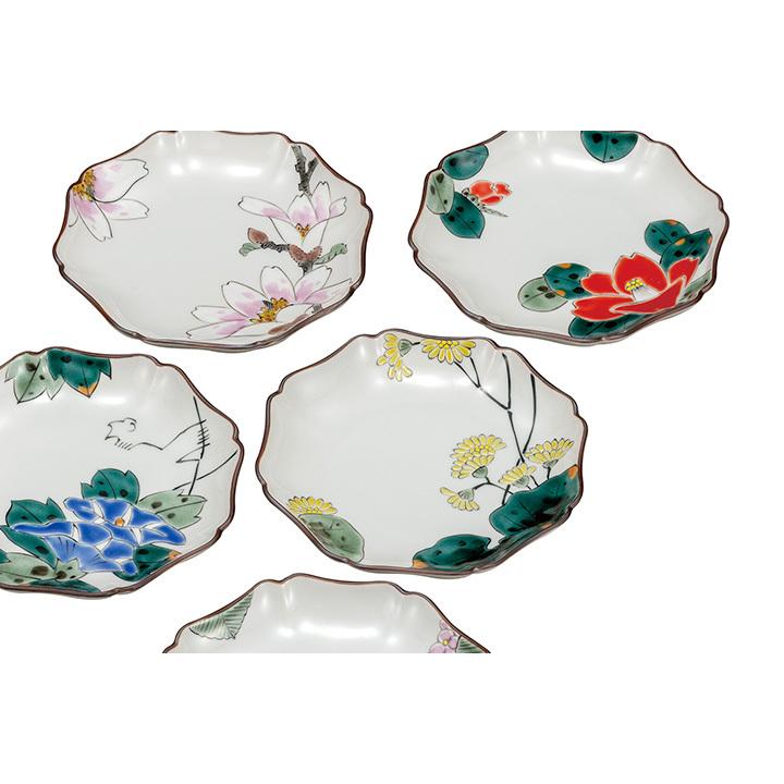 九谷焼 5.2号皿揃 絵変り花 / 福田良則 和食器 皿 中皿 人気 ギフト セット 贈り物 結婚祝い 内祝い k8-141 [ss] 木箱入り_2