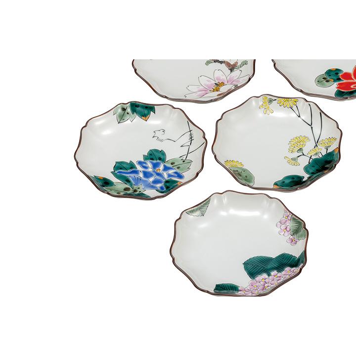 九谷焼 5.2号皿揃 絵変り花 / 福田良則 和食器 皿 中皿 人気 ギフト セット 贈り物 結婚祝い 内祝い k8-141 [ss] 木箱入り_3
