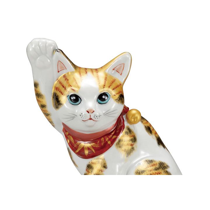 九谷焼 5号 達磨招き猫 金彩釉 (座布団付) Amazon.co.jp: 九谷焼いわたや 5号達磨招き猫・金彩 K8-1524