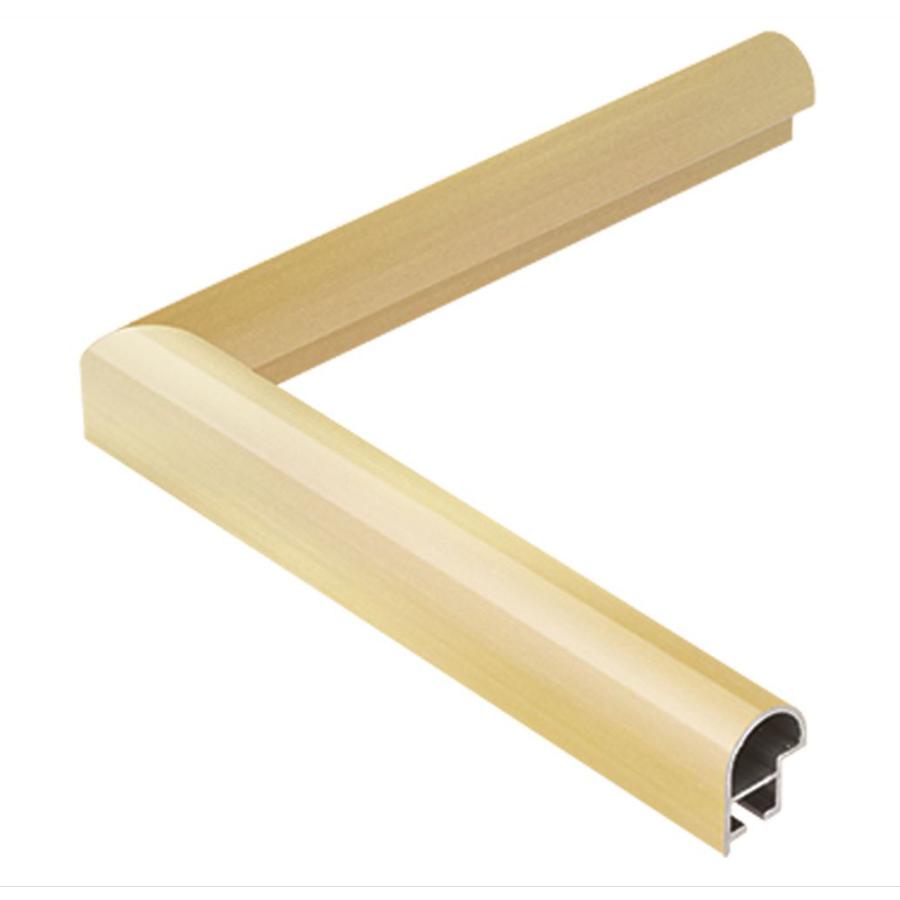 水彩用額縁 アルミフレーム IC ゴールド サイズF8号