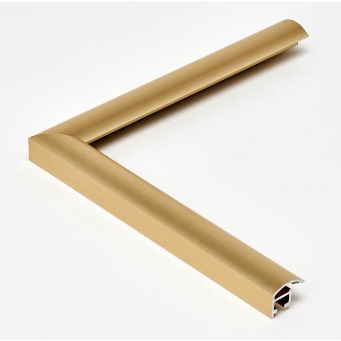 デッサン用額縁 アルミフレーム YFM ゴールド サイズ大判