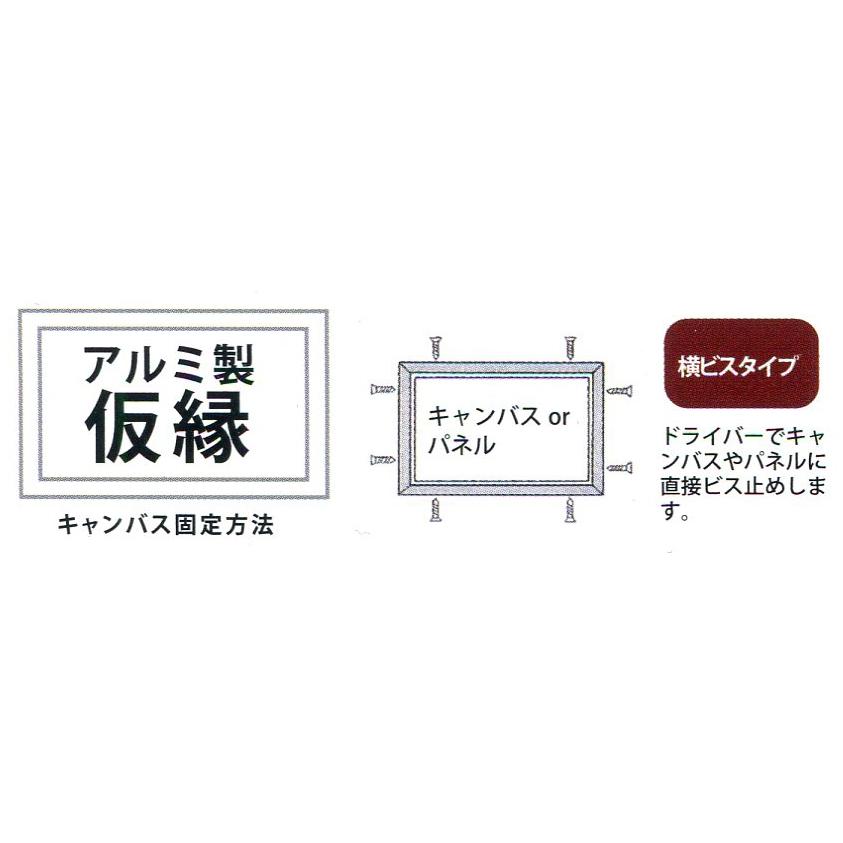 額縁 油絵/油彩額縁 アルミフレーム 仮縁 6551（DX） P50号 ブラックの画像