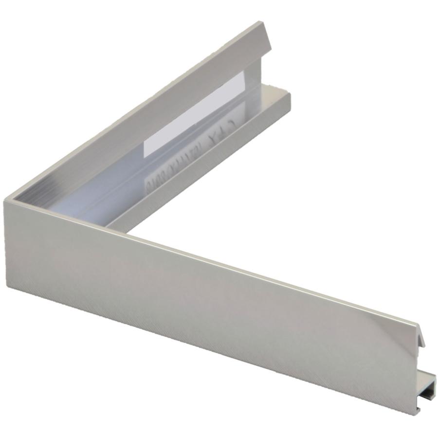 額縁　デッサン用額縁 アルミフレーム アクリル仕様 6763 (スラッシュ5) ＭＯ判 ステン(シルバー系)