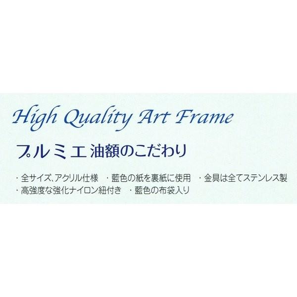 額縁　油絵/油彩額縁 木製フレーム 高級額縁 アクリル付 7102 サイズ F3号 シルバー_5