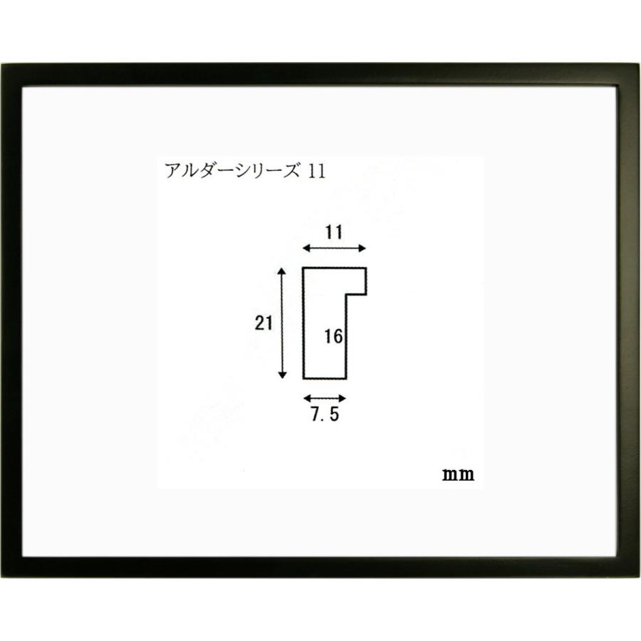 アルダー11 三三サイズ