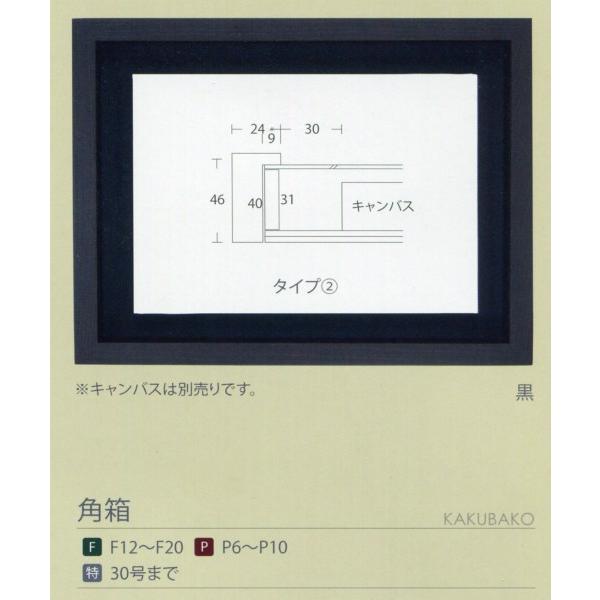 額縁 油彩額 油絵額縁 木枠付きキャンバス用の額縁 角箱 黒 サイズP15号_5