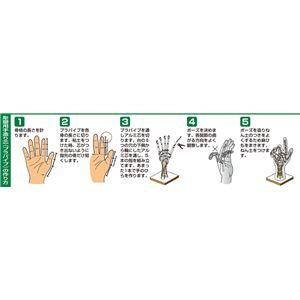 (まとめ)アーテック 彫塑用手造り芯 〔×15セット〕